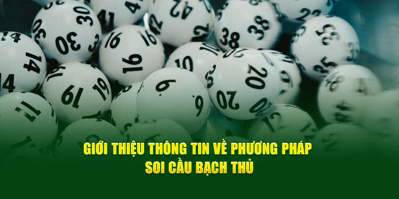 Soi cầu bạch thủ lô là gì?